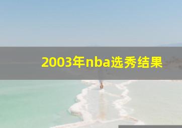 2003年nba选秀结果