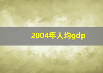 2004年人均gdp