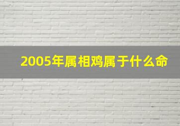 2005年属相鸡属于什么命