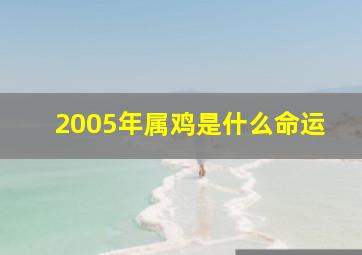 2005年属鸡是什么命运