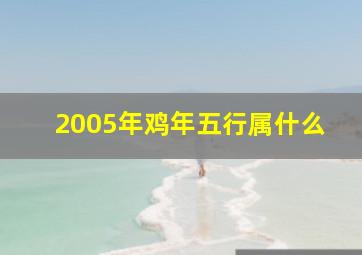 2005年鸡年五行属什么