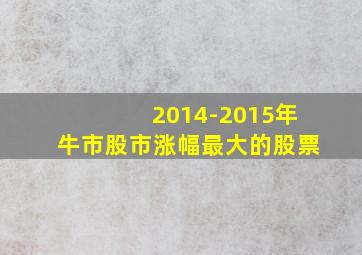 2014-2015年牛市股市涨幅最大的股票