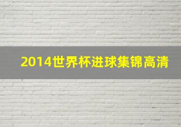 2014世界杯进球集锦高清