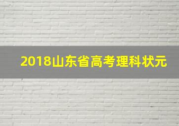 2018山东省高考理科状元