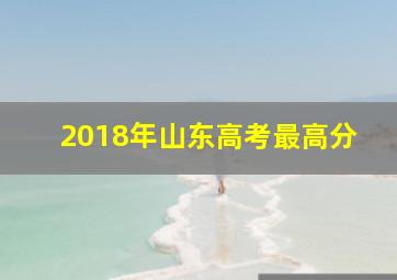 2018年山东高考最高分