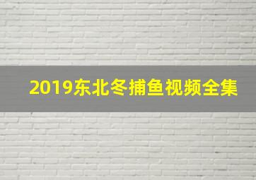 2019东北冬捕鱼视频全集