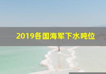 2019各国海军下水吨位