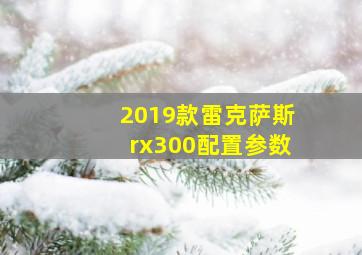 2019款雷克萨斯rx300配置参数