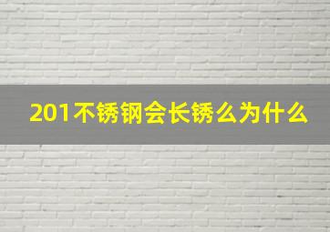 201不锈钢会长锈么为什么