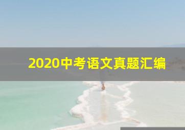 2020中考语文真题汇编