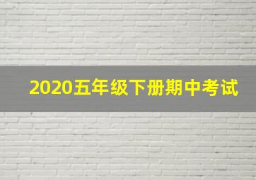 2020五年级下册期中考试