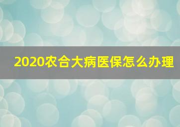 2020农合大病医保怎么办理