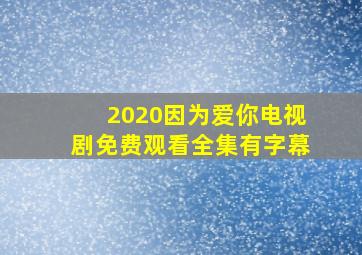 2020因为爱你电视剧免费观看全集有字幕