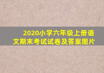 2020小学六年级上册语文期末考试试卷及答案图片