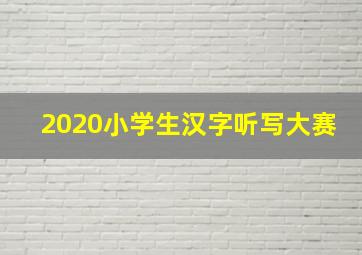 2020小学生汉字听写大赛