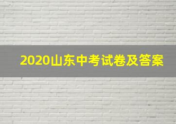 2020山东中考试卷及答案