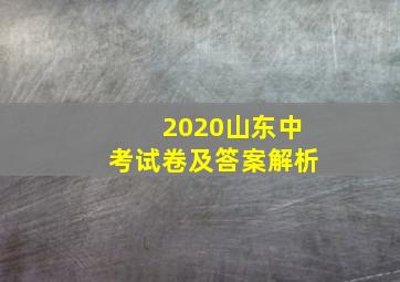 2020山东中考试卷及答案解析