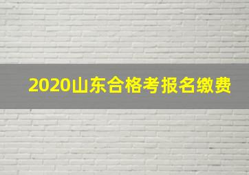 2020山东合格考报名缴费