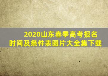 2020山东春季高考报名时间及条件表图片大全集下载