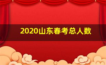 2020山东春考总人数