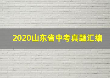 2020山东省中考真题汇编