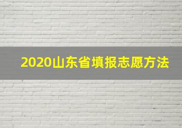 2020山东省填报志愿方法