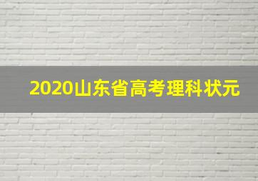 2020山东省高考理科状元