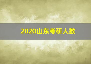 2020山东考研人数