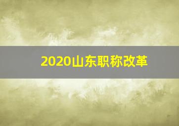 2020山东职称改革