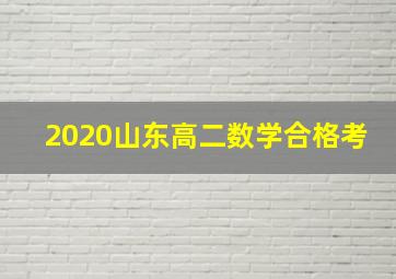 2020山东高二数学合格考