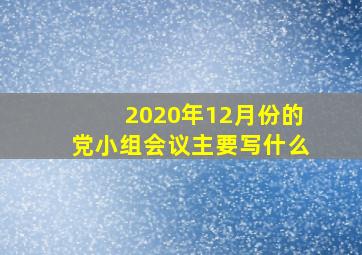 2020年12月份的党小组会议主要写什么