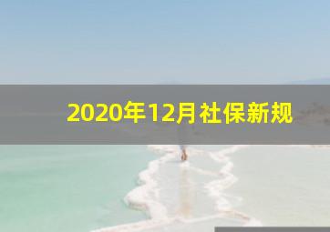 2020年12月社保新规