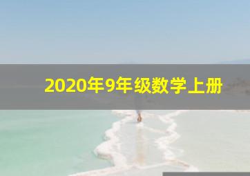 2020年9年级数学上册