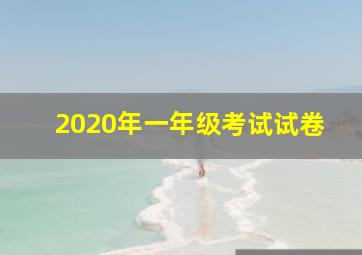 2020年一年级考试试卷