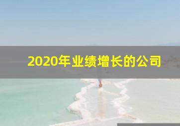 2020年业绩增长的公司