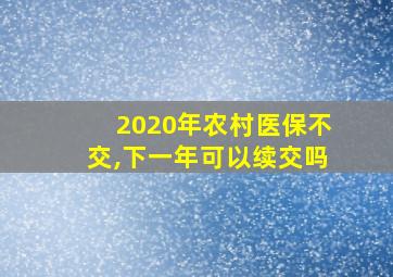 2020年农村医保不交,下一年可以续交吗