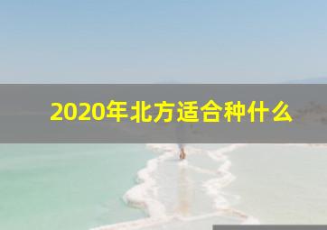 2020年北方适合种什么