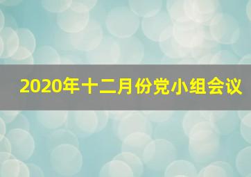 2020年十二月份党小组会议