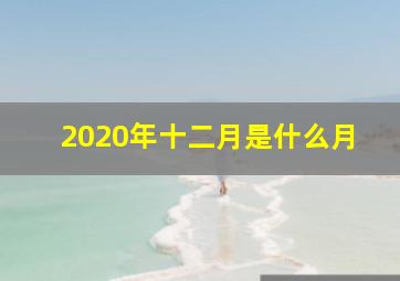 2020年十二月是什么月