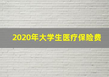 2020年大学生医疗保险费