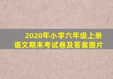 2020年小学六年级上册语文期末考试卷及答案图片