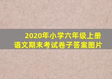 2020年小学六年级上册语文期末考试卷子答案图片