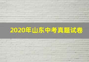 2020年山东中考真题试卷