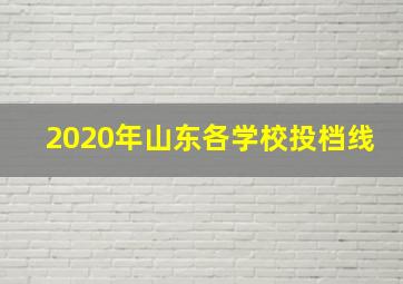 2020年山东各学校投档线