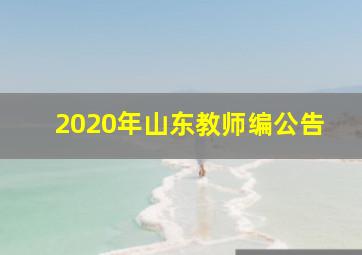 2020年山东教师编公告