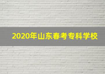 2020年山东春考专科学校