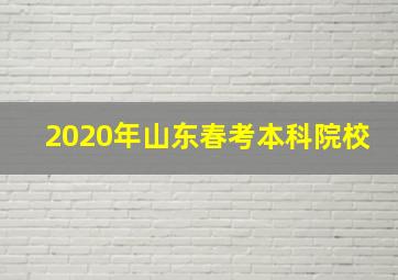 2020年山东春考本科院校