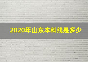 2020年山东本科线是多少