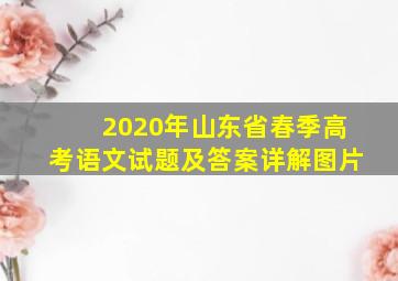 2020年山东省春季高考语文试题及答案详解图片