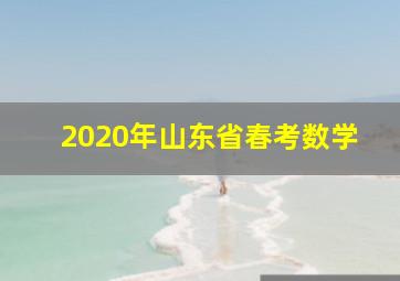 2020年山东省春考数学